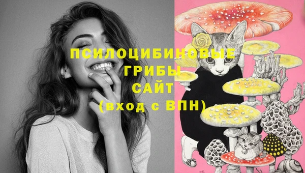герыч Абаза